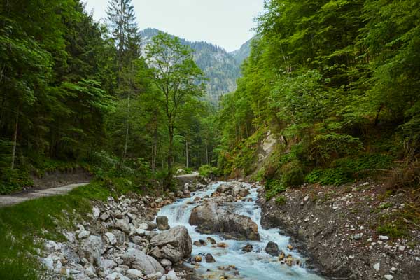 Wildbach Hammersbach
