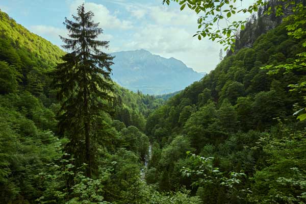 Blick auf die Kramerspitze